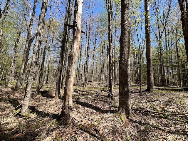 Cedar St, Watson, NY 13367