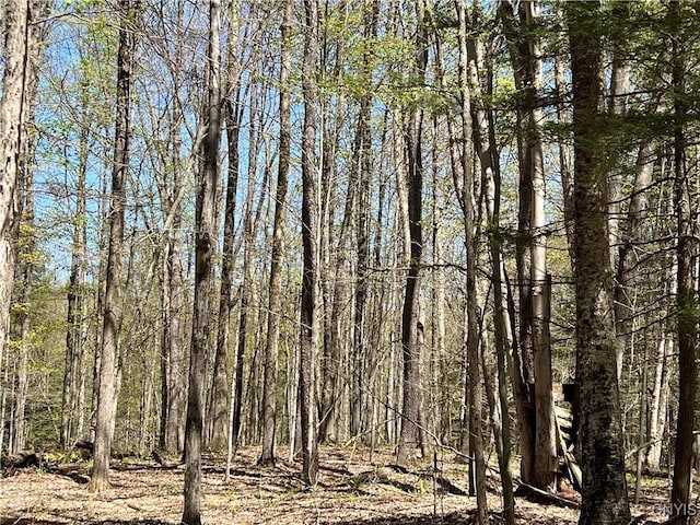Cedar St, Watson, NY 13367