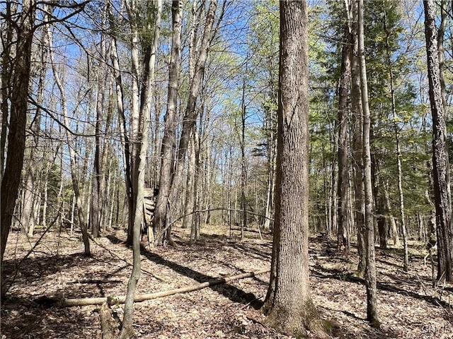 Cedar St, Watson, NY 13367