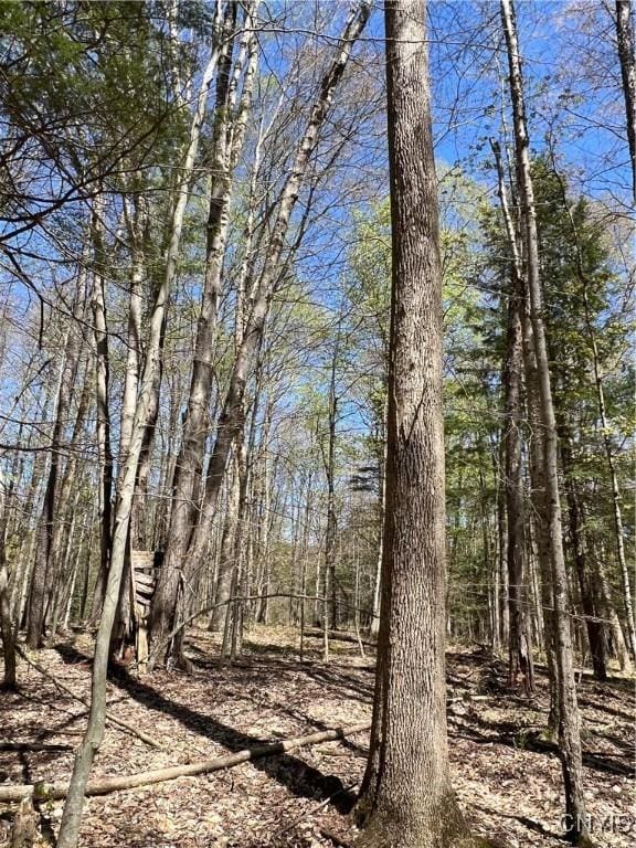 Cedar St, Watson, NY 13367