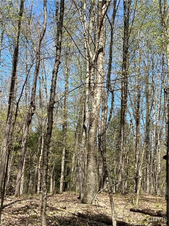 Cedar St, Watson, NY 13367