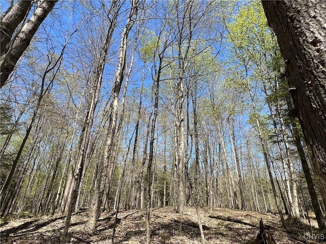 Cedar St, Watson, NY 13367