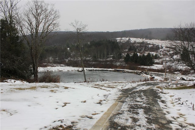 500 Farnham Rd, Sanford, NY 13865 - view of water feature featuring a wooded view