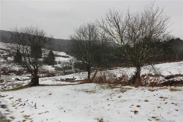 500 Farnham Rd, Sanford, NY 13865 - view of yard covered in snow