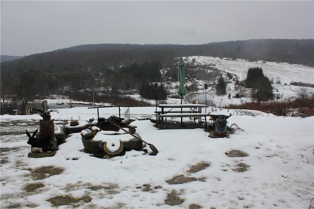 500 Farnham Rd, Sanford, NY 13865 - view of home's community featuring a forest view