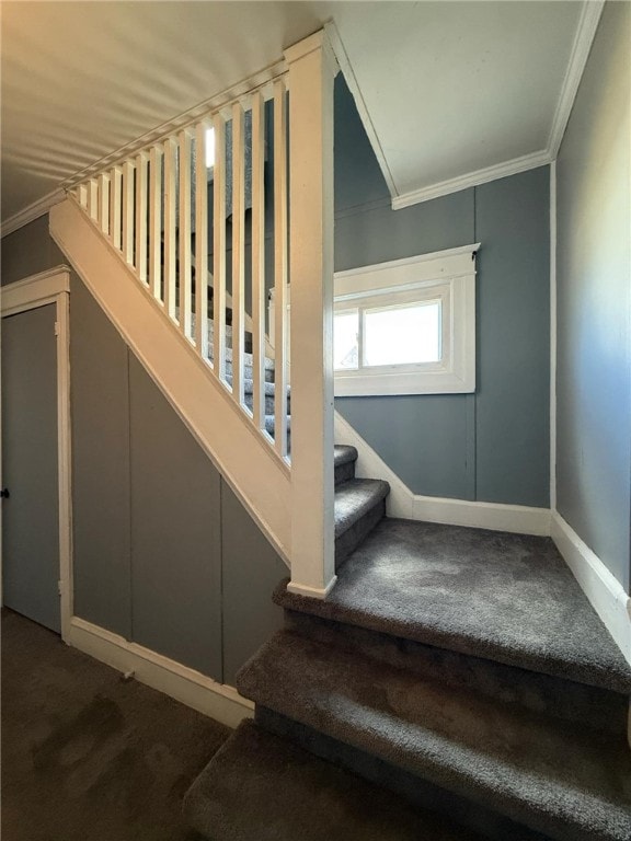 stairs featuring baseboards, ornamental molding, and carpet flooring