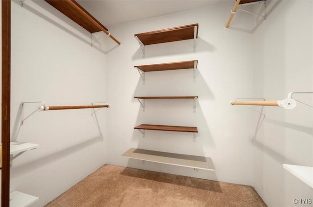spacious closet with carpet