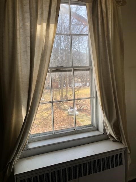 810 River Rd, Sanford, NY 13754 - detailed view of radiator
