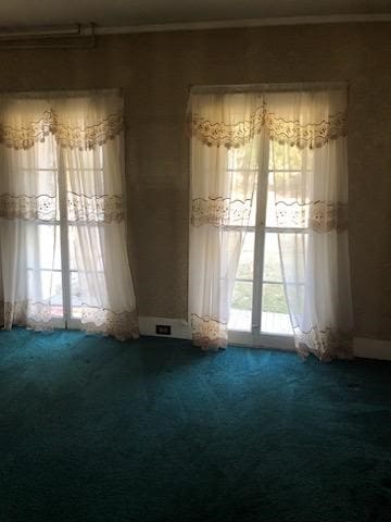 810 River Rd, Sanford, NY 13754 - unfurnished room with carpet flooring