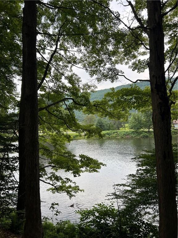 810 River Rd, Sanford, NY 13754 - water view