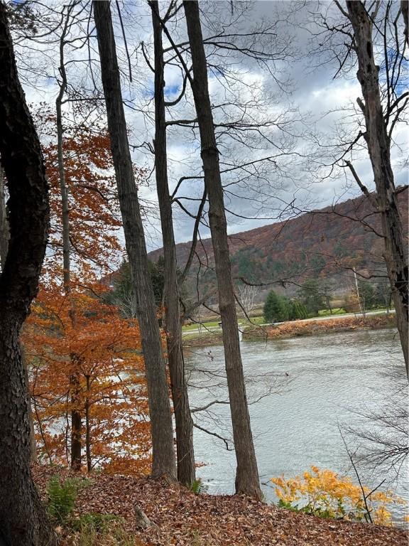 810 River Rd, Sanford, NY 13754 - water view featuring mountains