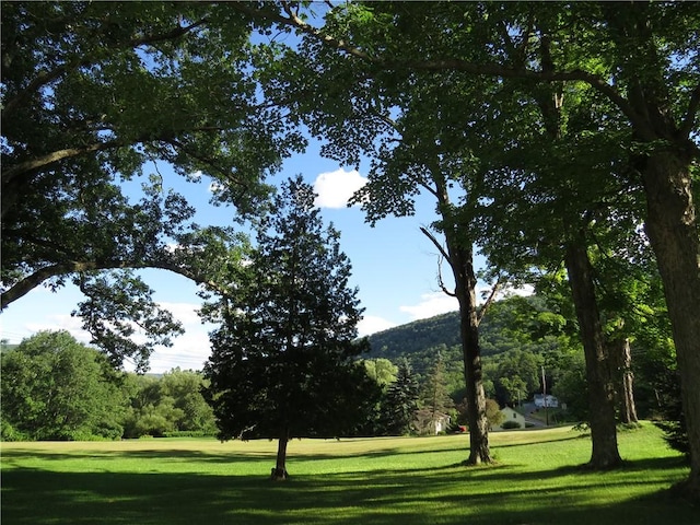 810 River Rd, Sanford, NY 13754 - surrounding community with a lawn