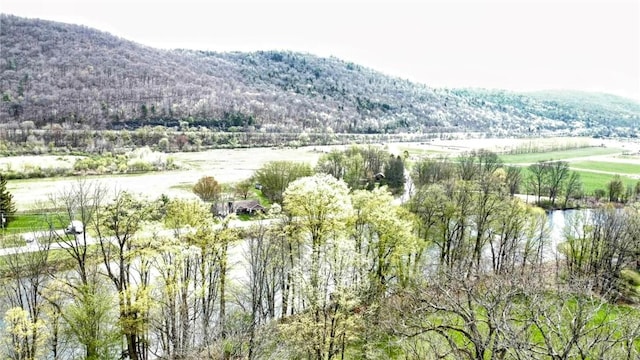 810 River Rd, Sanford, NY 13754 - view of mountain backdrop