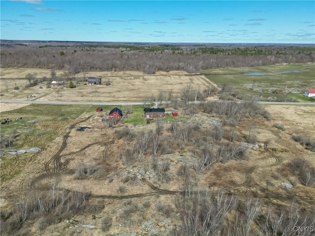 drone / aerial view with a rural view