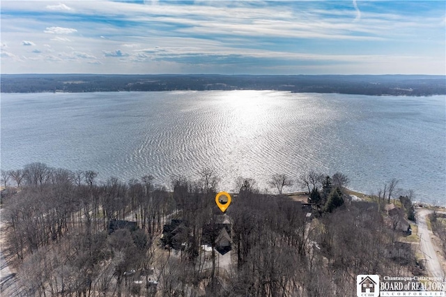 5464 Crestwood Rd, Ellery, NY 14712 - drone / aerial view with a water view