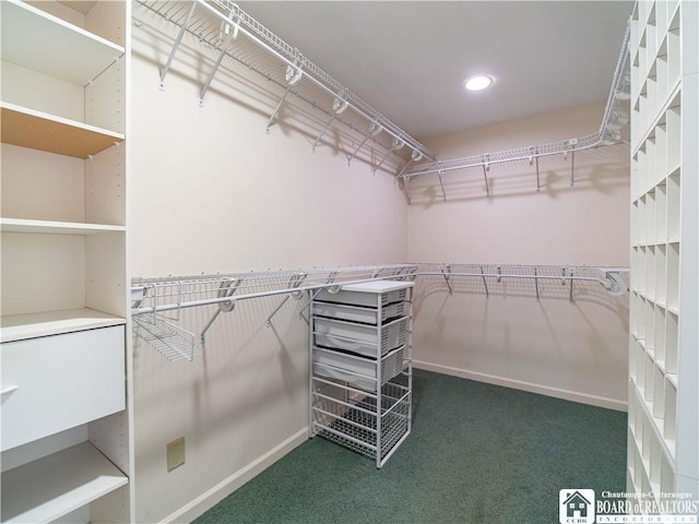 5464 Crestwood Rd, Ellery, NY 14712 - spacious closet featuring carpet flooring