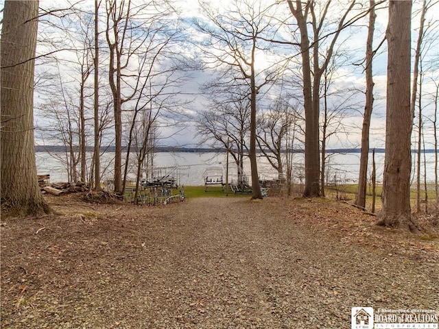 5464 Crestwood Rd, Ellery, NY 14712 - view of water feature