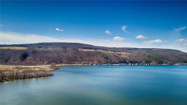 5170 Sunnyside Rd, Italy, NY 14507 - water view with a view of trees