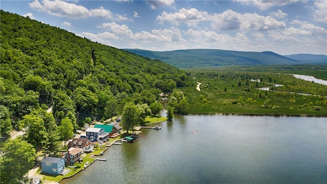 5170 Sunnyside Rd, Italy, NY 14507 - photo 9