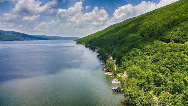 5170 Sunnyside Rd, Italy, NY 14507 - photo 13