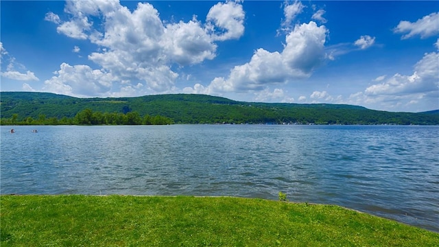 5170 Sunnyside Rd, Italy, NY 14507 - photo 34