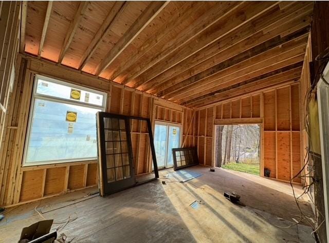 miscellaneous room with healthy amount of natural light