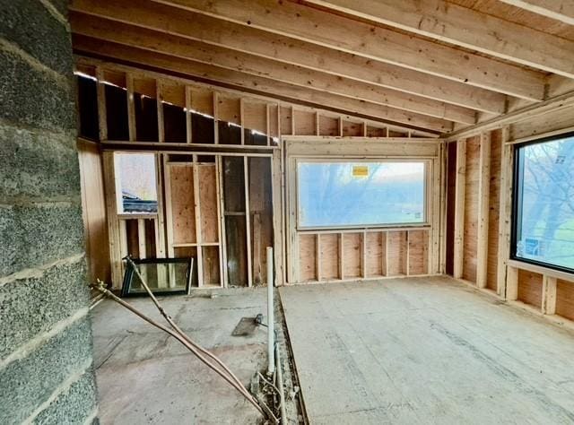 miscellaneous room with vaulted ceiling