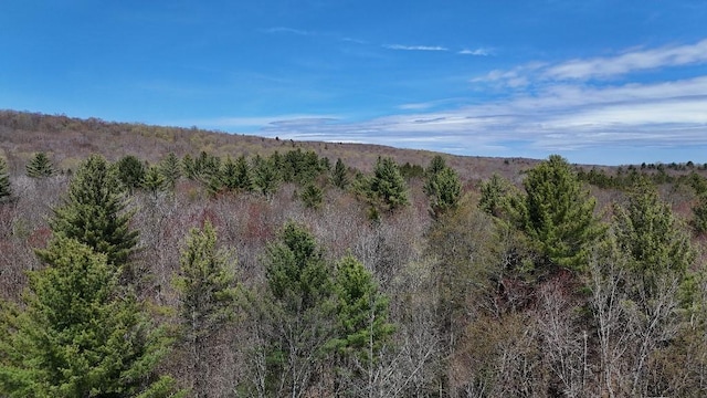 12 Shaad, Salisbury, NY 13454