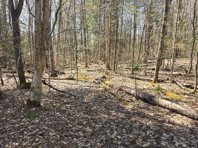12 Shaad, Salisbury, NY 13454