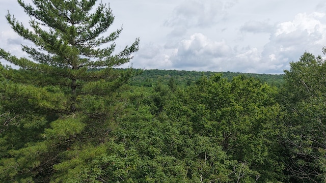 Shaad, Salisbury, NY 13454