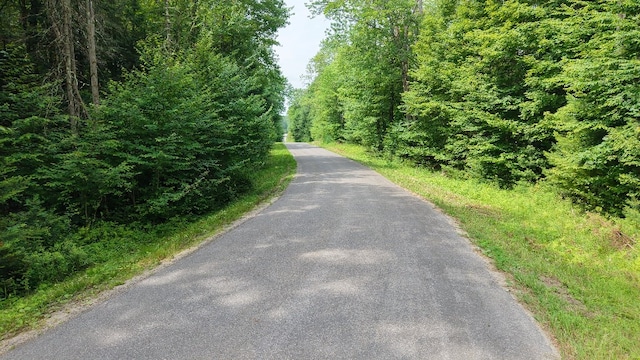 Shaad, Salisbury, NY 13454