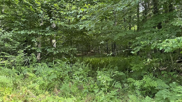 Shaad, Salisbury, NY 13454