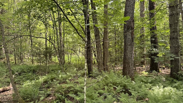 Shaad, Salisbury, NY 13454