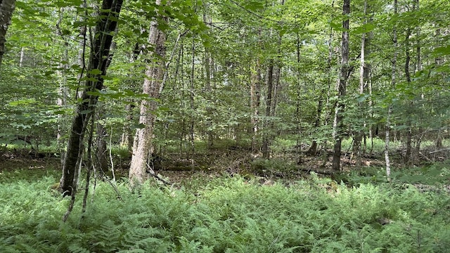 Shaad, Salisbury, NY 13454