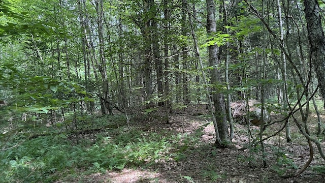 Shaad, Salisbury, NY 13454