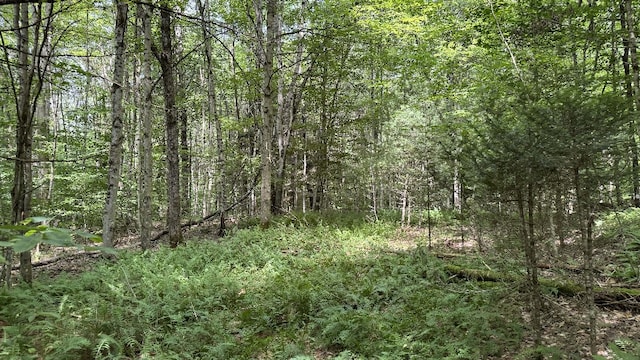 Shaad, Salisbury, NY 13454