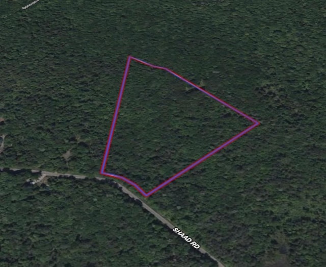 Shaad, Salisbury, NY 13454