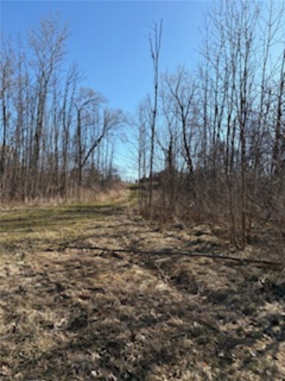 S Holley Rd, Clarendon, NY 14429
