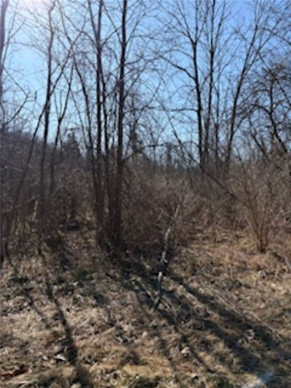 S Holley Rd, Clarendon, NY 14429