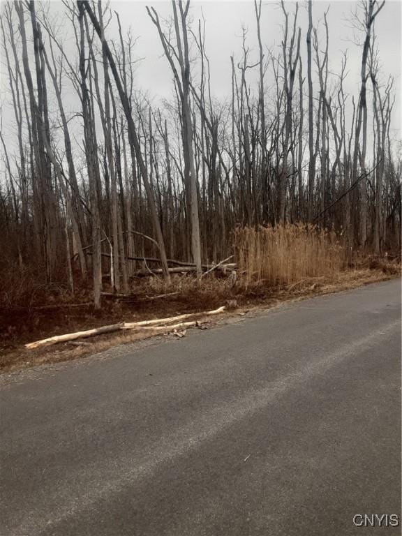 Briggs Bay Rd, Lenox, NY 13032