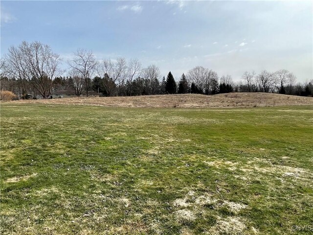 34 Salmon Meadow Ln, Richland, NY 13142 - view of yard with a rural view