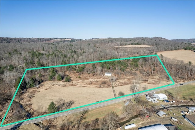351 Monkey Run Rd, Elmira, NY 14901 - map location