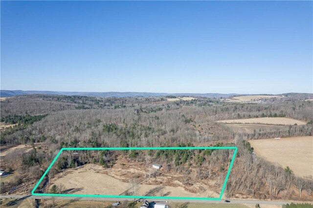 351 Monkey Run Rd, Elmira, NY 14901 - bird's eye view with a mountain view