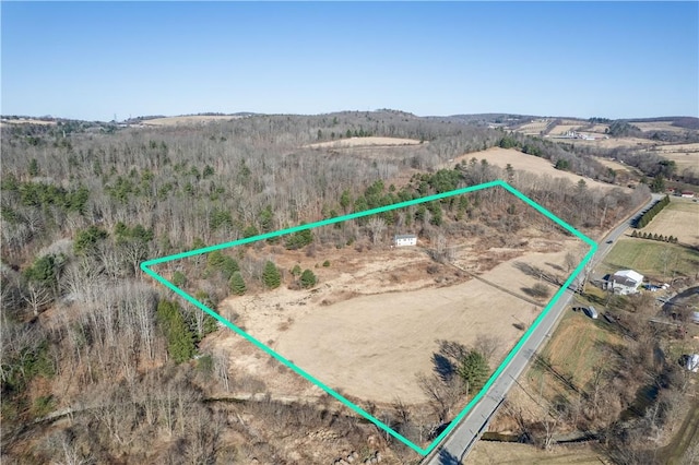 351 Monkey Run Rd, Elmira, NY 14901 - exterior space with a rural view