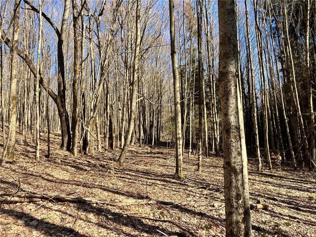 50 Buchanan Rd, Sanford, NY 13865