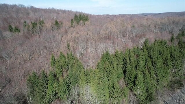 50 Buchanan Rd, Sanford, NY 13865