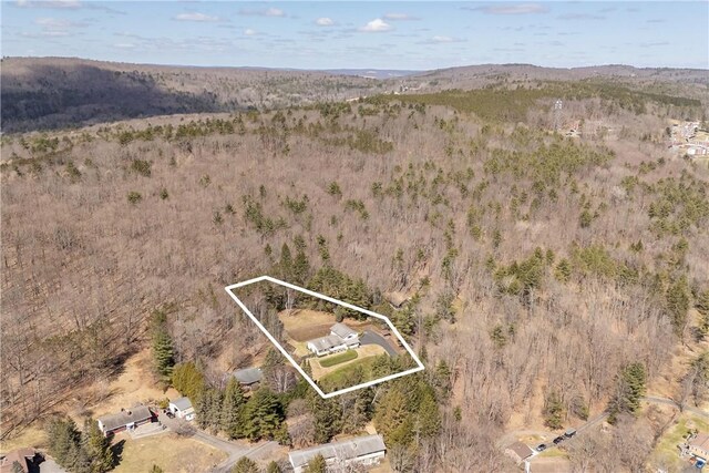 drone / aerial view with a forest view