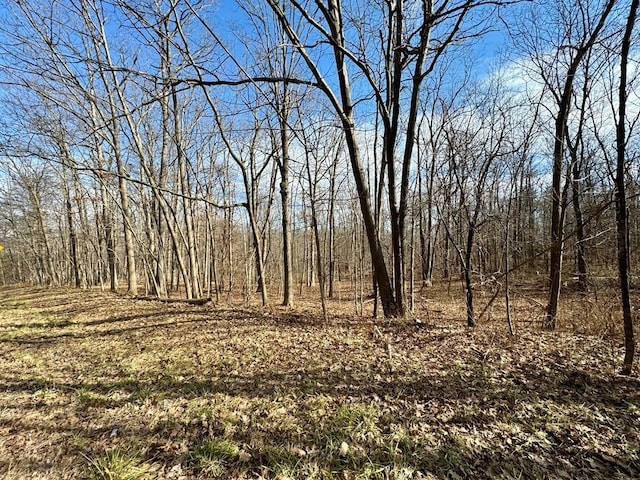 414 Drive Drive, Dix, NY 14865
