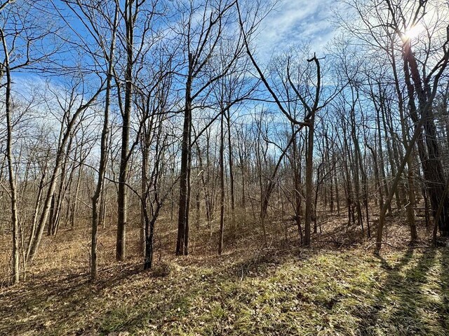 414 Drive Drive, Dix, NY 14865