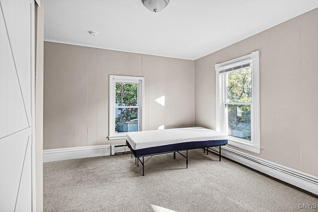 1002 N Madison St, Rome-Inside, NY 13440 - carpeted bedroom with a baseboard heating unit